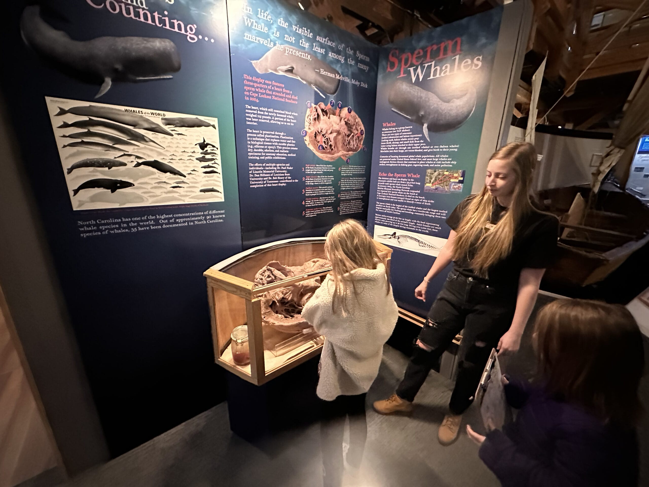 North Carolina Maritime Museum program supported by the Friends